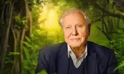Sir David Attenborough breaks record as oldest Daytime Emmy winner