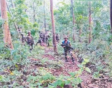 Efforts to neutralise terrorists hiding in Jammu forests on: IGP