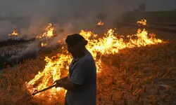 Punjab saw 415 farm fires from Sep 15-Oct 21, down from 1,510 during same period last year Punjab saw 415 farm fires from Sep 15-Oct 21, down from 1,510 during same period last year