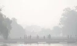 Blame Game: AAP sees data trick, BJP sees Punjab smoke