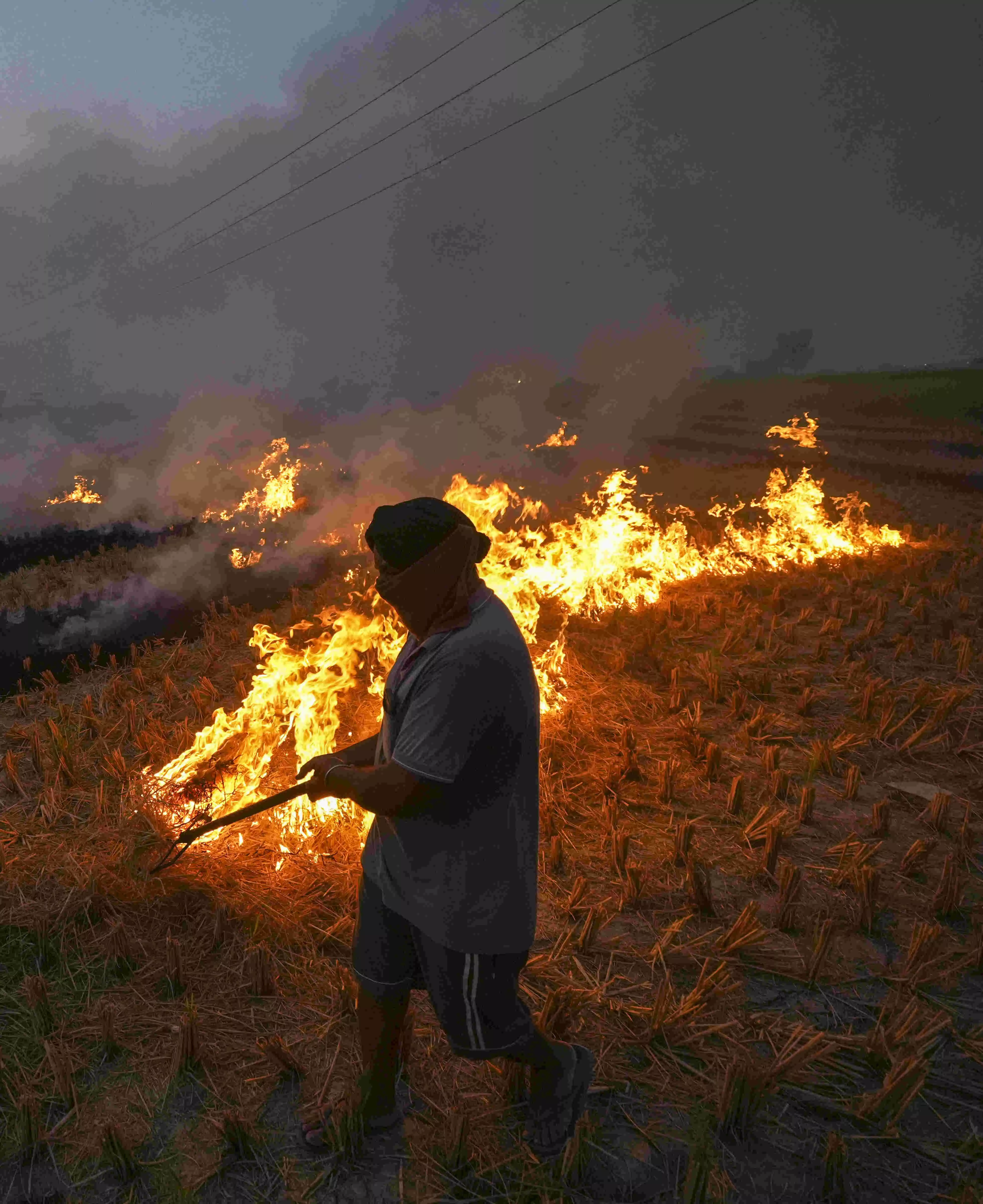 Punjab saw 415 farm fires from Sep 15-Oct 21, down from 1,510 during same period last year Punjab saw 415 farm fires from Sep 15-Oct 21, down from 1,510 during same period last year