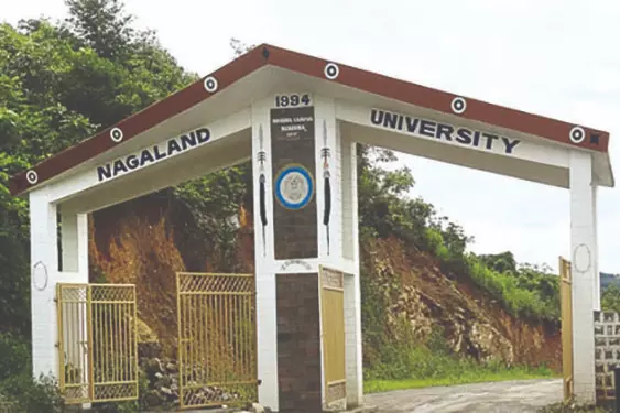 Nagaland University researchers find breakthrough for diabetic wounds Nagaland University researchers find breakthrough for diabetic wounds