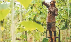 Seeds of Smart Farming Seeds of Smart Farming