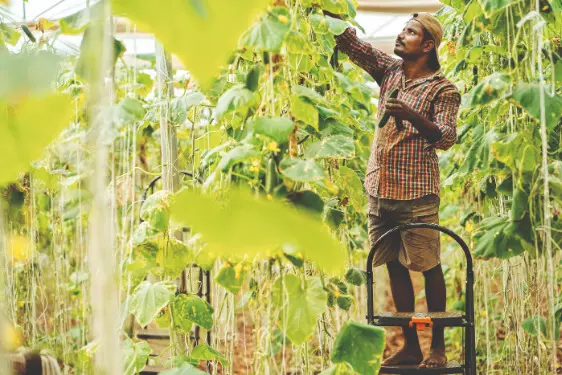 Seeds of Smart Farming Seeds of Smart Farming