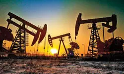 Indian refiners to buy more crude from Middle East, US to replace Russian oil Indian refiners to buy more crude from Middle East, US to replace Russian oil