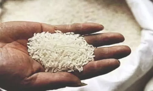 ‘India looks to increase rice shipments to 26 markets’ ‘India looks to increase rice shipments to 26 markets’