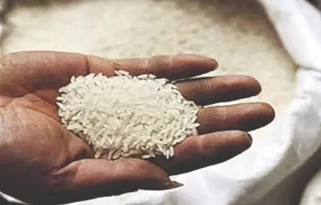 ‘India looks to increase rice shipments to 26 markets’ ‘India looks to increase rice shipments to 26 markets’