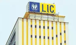 US life insurers, not LIC, led the recent Adani investments