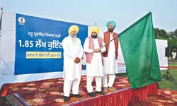 Punjab CM flags off 7 trucks of free wheat seed Punjab CM flags off 7 trucks of free wheat seed