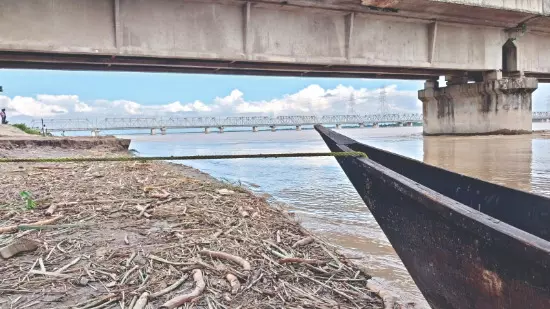 To restore eco balance, state   plans release of 2L fish in river To restore eco balance, state   plans release of 2L fish in river