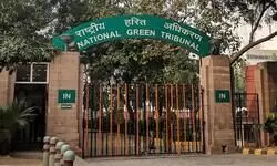 Concerned over poor waste management, NGT pulls up Jkhand govt, seeks detailed report Concerned over poor waste management, NGT pulls up Jkhand govt, seeks detailed report