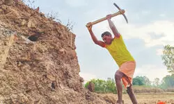 Most Indian soils low in nitrogen and organic carbon: Study Most Indian soils low in nitrogen and organic carbon: Study