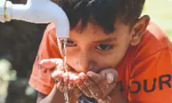 ZSI decodes the ‘invisible life’ in India’s tap water ZSI decodes the ‘invisible life’ in India’s tap water