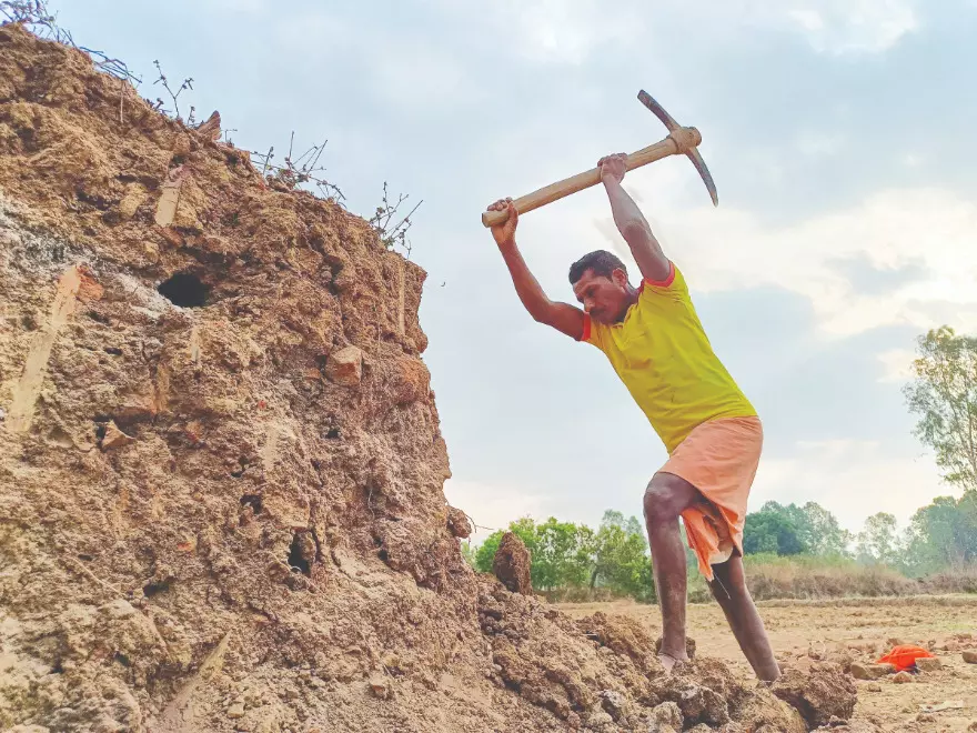 Most Indian soils low in nitrogen and organic carbon: Study Most Indian soils low in nitrogen and organic carbon: Study