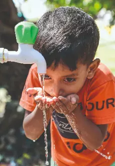 ZSI decodes the ‘invisible life’ in India’s tap water ZSI decodes the ‘invisible life’ in India’s tap water