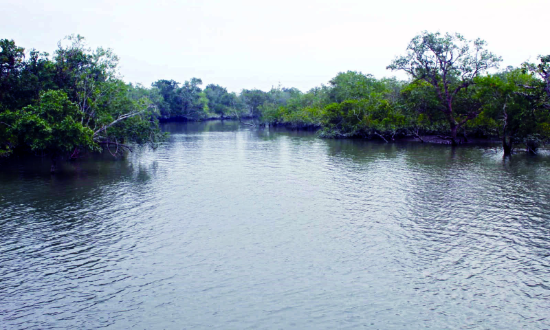 Microplastics found in air above pristine Sunderbans island, says IISER study