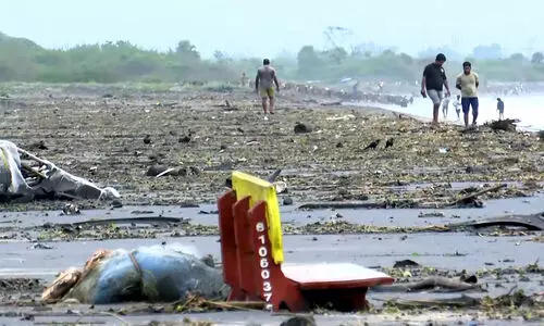 Montha leaves one dead, roads inundated, trees uprooted, crops damaged in Andhra Montha leaves one dead, roads inundated, trees uprooted, crops damaged in Andhra