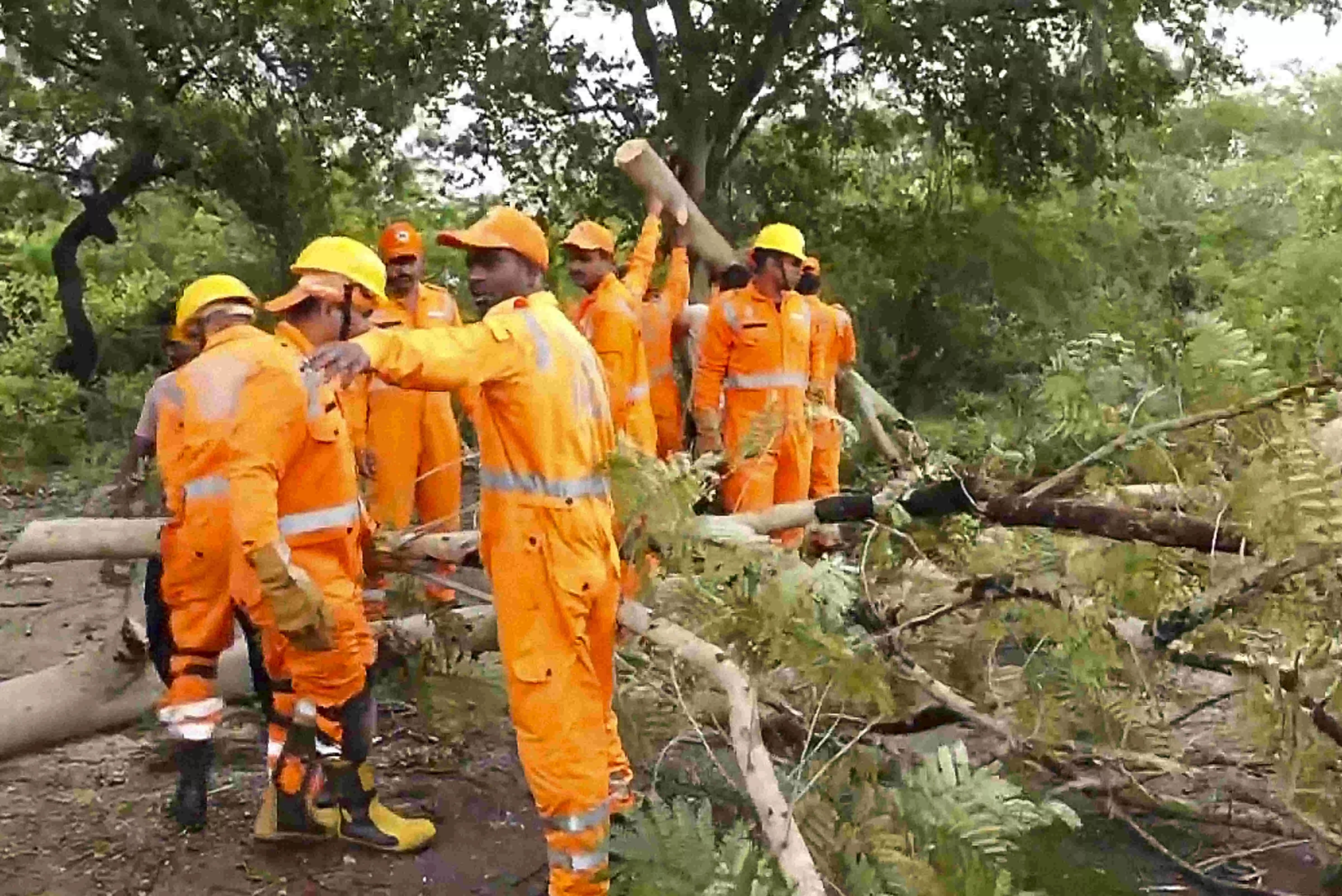Cyclone Montha: Rain lashes parts of Odisha; landslides, damage to properties reported Cyclone Montha: Rain lashes parts of Odisha; landslides, damage to properties reported