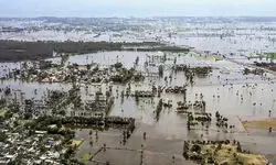Over 11,000 power staff deployed in Andhra during Cyclone Montha: Chief Secretary