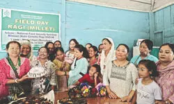 Millet cakes launched to promote healthy eating & support farmers Millet cakes launched to promote healthy eating & support farmers