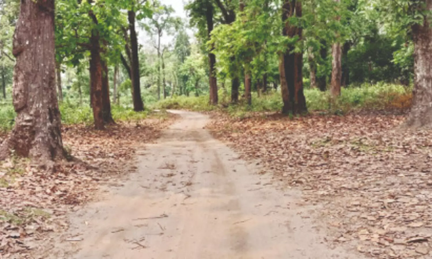 Tourism push to uplift Rava community in Jalpaiguri