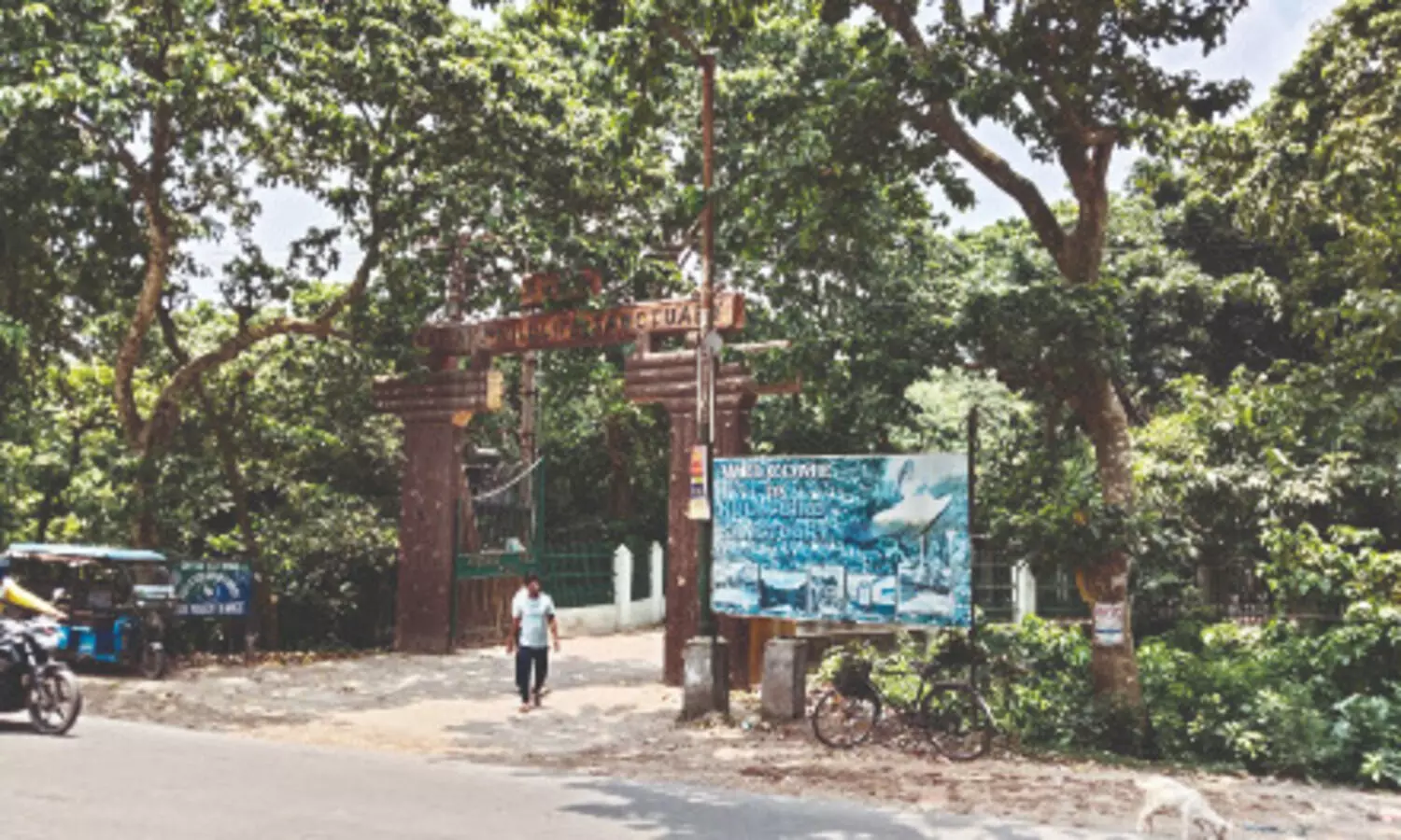 Record number of migratory birds flock Kulik Bird Sanctuary