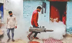 Over 400 free dengue testing centres opened across state amid rising cases