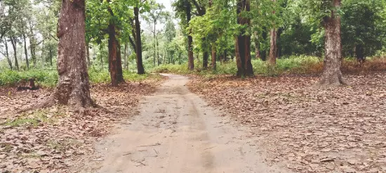 Tourism push to uplift Rava community in Jalpaiguri Tourism push to uplift Rava community in Jalpaiguri