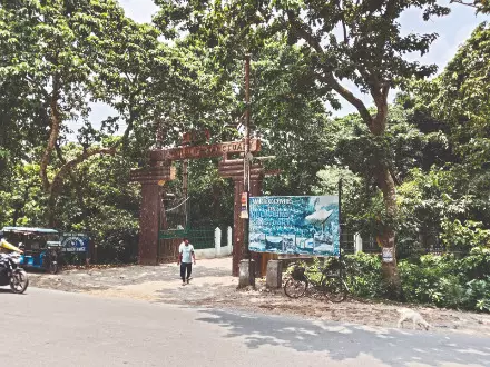 Record number of migratory birds flock Kulik Bird Sanctuary Record number of migratory birds flock Kulik Bird Sanctuary