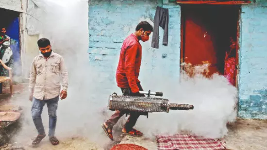 Over 400 free dengue testing centres opened across state amid rising cases Over 400 free dengue testing centres opened across state amid rising cases