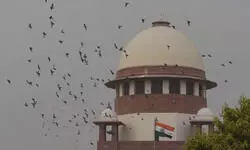 What prejudice will be caused if bank provides hearing before classifying account as fraud: SC What prejudice will be caused if bank provides hearing before classifying account as fraud: SC
