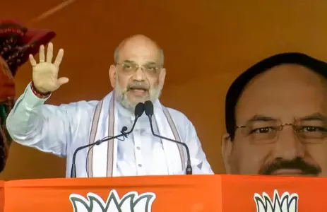 Pak terrorists to get goli ka jawab goley se if they attack India again: Amit Shah