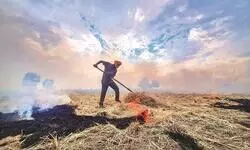 ‘Haryana has shown sharp decline’; CAQM asks Punjab to act swiftly on stubble burning ‘Haryana has shown sharp decline’; CAQM asks Punjab to act swiftly on stubble burning
