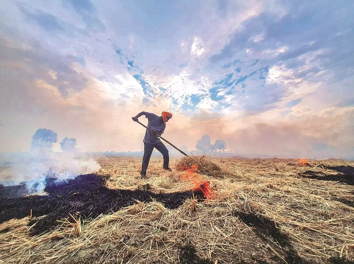 ‘Haryana has shown sharp decline’; CAQM asks Punjab to act swiftly on stubble burning ‘Haryana has shown sharp decline’; CAQM asks Punjab to act swiftly on stubble burning