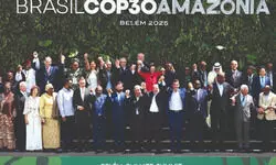 The Trees That Were The Trees That Were