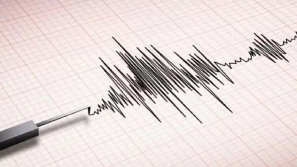 Earthquake of 5.4 magnitude recorded in Andaman Sea: Seismology centre
