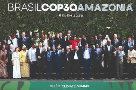 The Trees That Were The Trees That Were