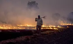 Stubble burning started in Punjab, Haryana, worsening Delhi-NCR air quality levels, SC told