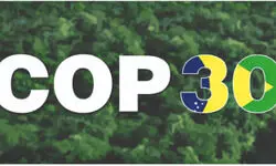 Survival, Not Strategy Survival, Not Strategy