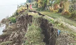 Fulhar River wreaks havoc in Manikchak: About 100 m of land caves in, swallows trees
