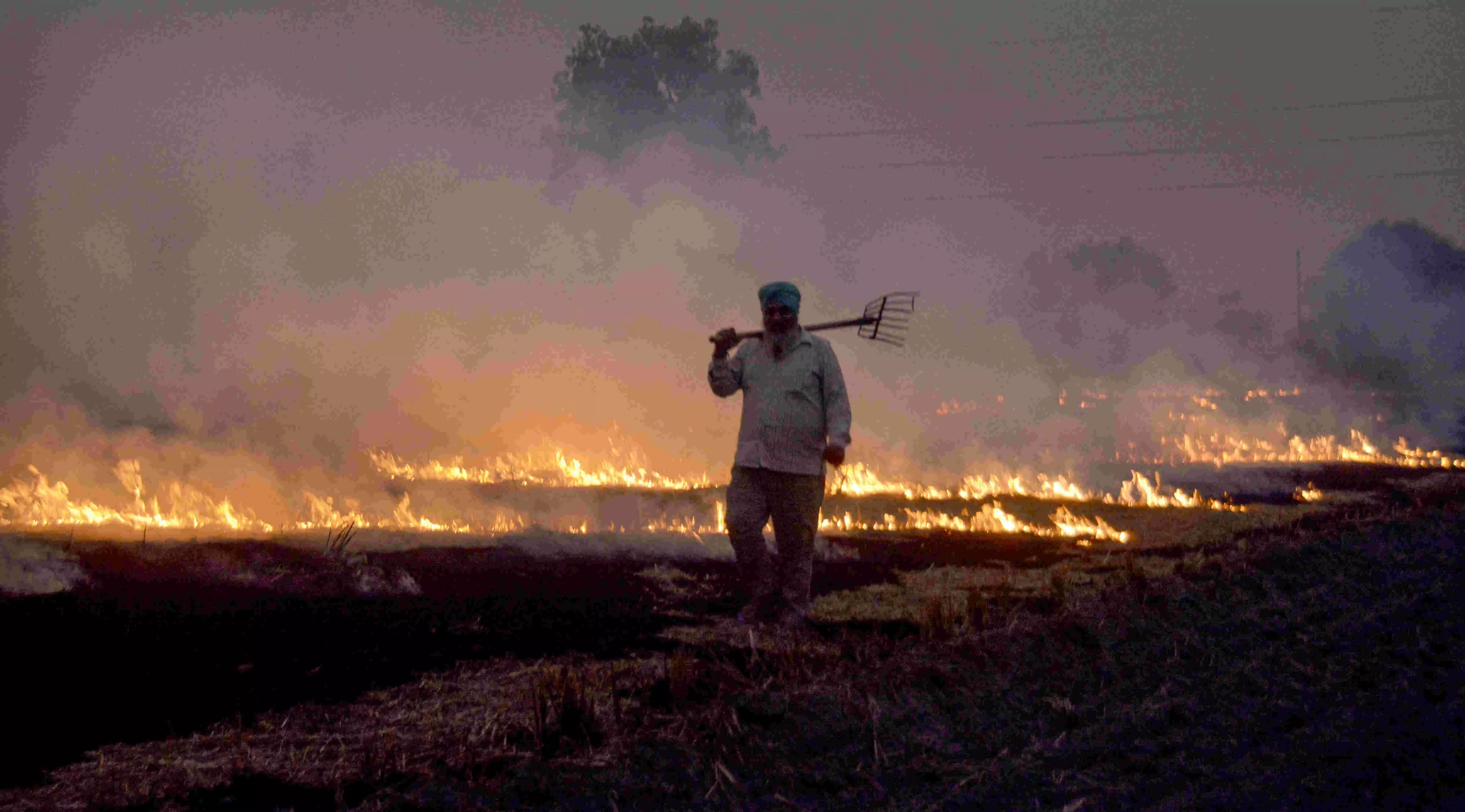 Stubble burning started in Punjab, Haryana, worsening Delhi-NCR air quality levels, SC told