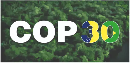 Survival, Not Strategy