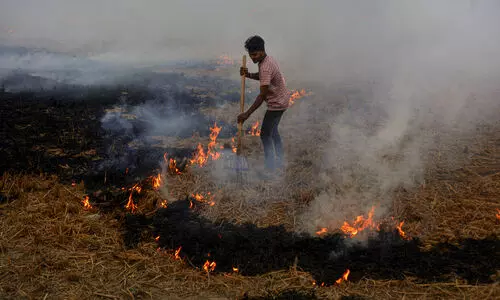 Air pollution: SC asks Punjab, Haryana to apprise about steps taken against stubble burning Air pollution: SC asks Punjab, Haryana to apprise about steps taken against stubble burning
