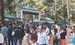 Bengal Safari Park breaks all records with ‘over Rs 71L revenue in Oct alone’