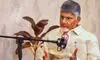 H1-B visa tightening temporary setback, cost advantage will bring US around, says AP CM Naidu H1-B visa tightening temporary setback, cost advantage will bring US around, says AP CM Naidu