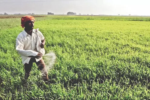 Fertiliser black marketing: Over 550 dealers show-caused in Malda