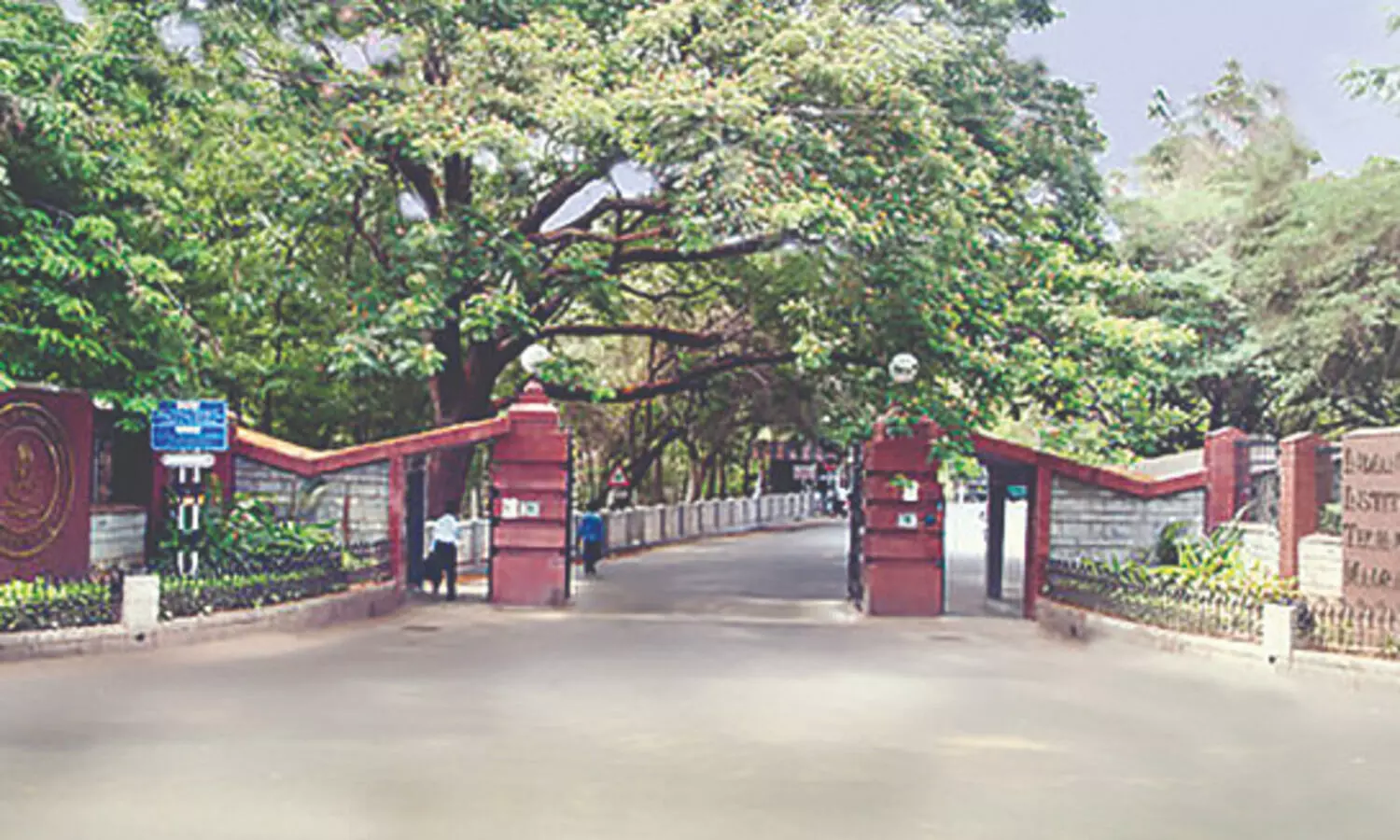 IIT Madras launches ‘Language & Cognition Lab’ to study India’s linguistic diversity