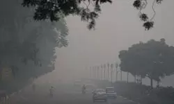 Delhi-NCR pollution stays locked in ‘severe’ level; Wazirpur, Greater Noida record worst AQI