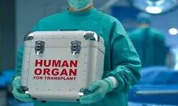 SC asks Centre to frame national policy, uniform rules on organ transplantation SC asks Centre to frame national policy, uniform rules on organ transplantation