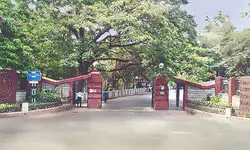 IIT Madras launches ‘Language & Cognition Lab’ to study India’s linguistic diversity